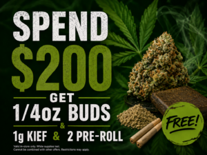 200 freebie