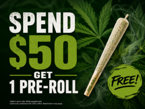 spend 50